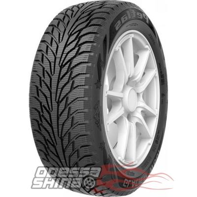 Petlas Glacier W661 185/65 R15 88T