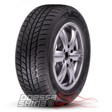 Roadx RXFrost WH01 205/55 R16 91H