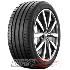 Taurus Summer 3 255/40 ZR19 100Y XL