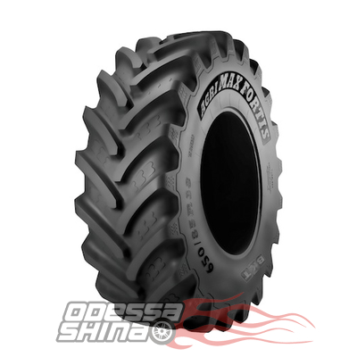 BKT AGRIMAX FORTIS (с/х) 650/85 R38 176A8/173D